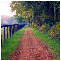 Walking Jogging Path